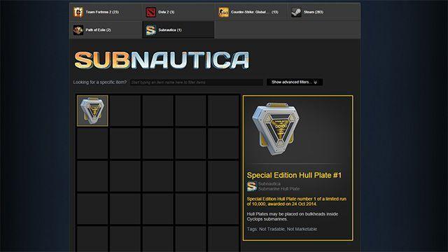 HullPlateInInventory.jpg