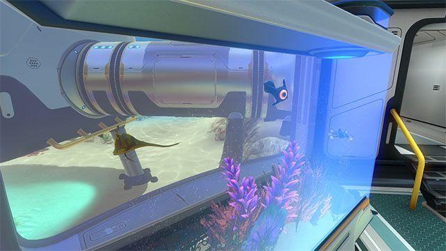 small__0020_20150805_SN_Habitat_Album_2_aquarium.jpg