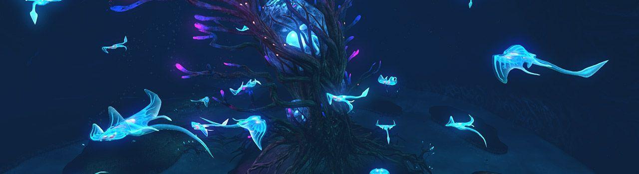 20160916_SN_DangerousCreatures_Blog_7_TreeCove.jpg