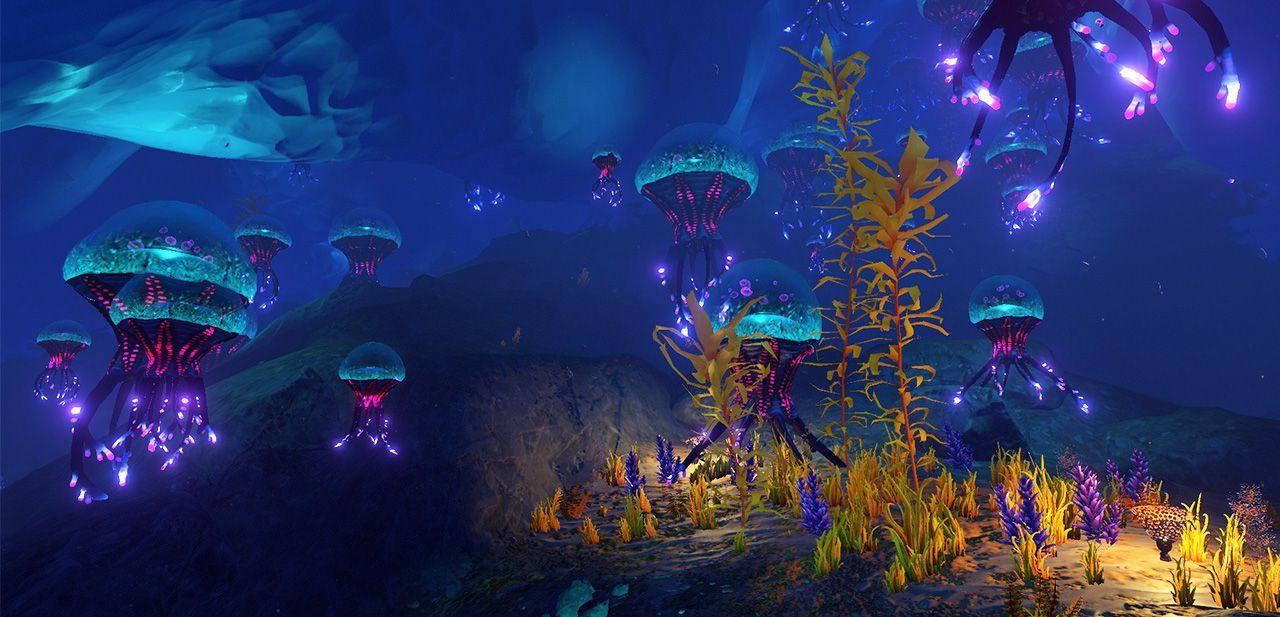 jellyfish.jpg