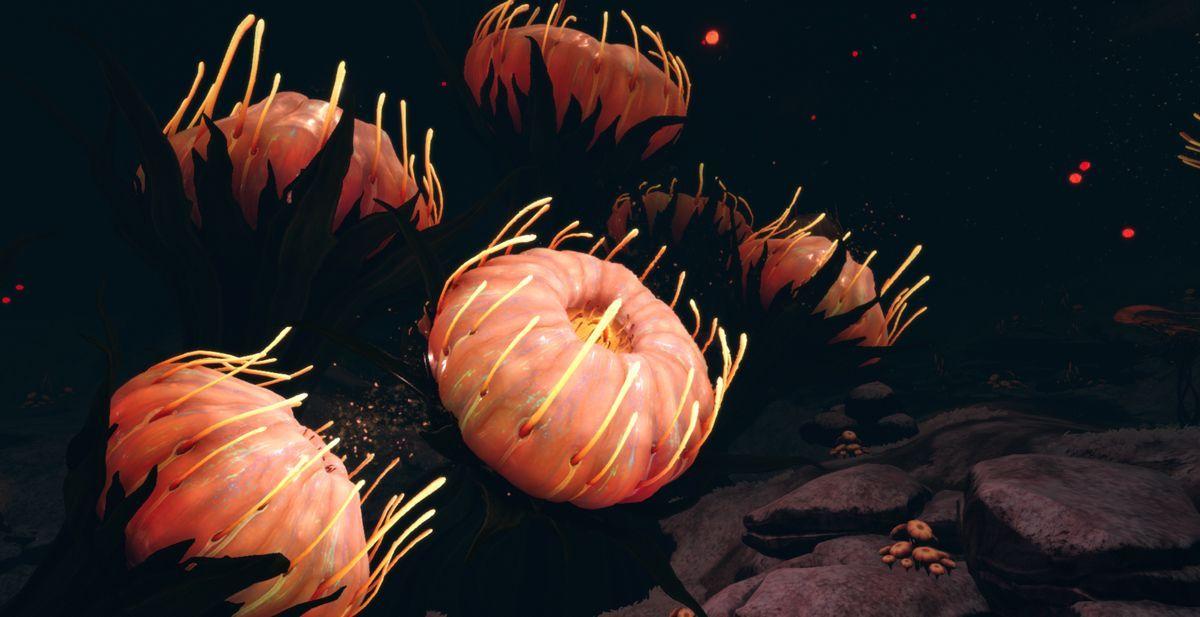 deep-lilypads_1200x617.jpg