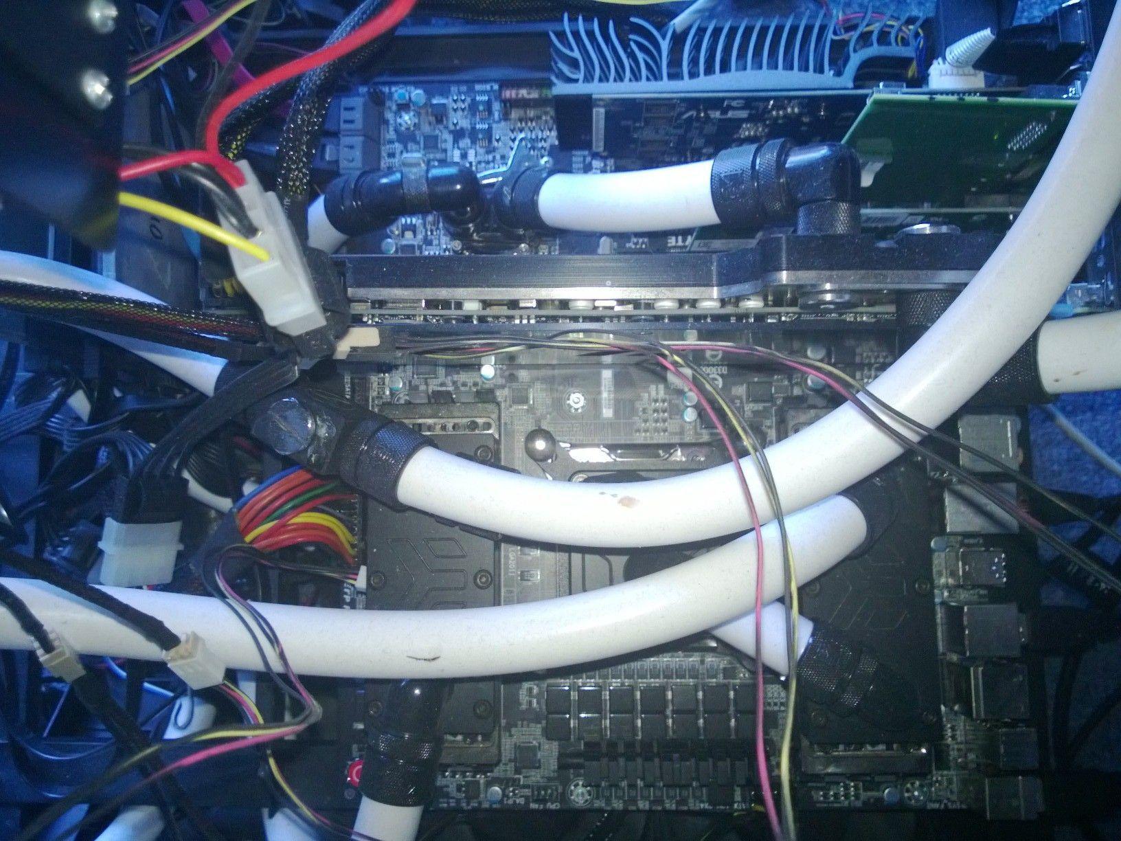 WP_20130205_002.jpg